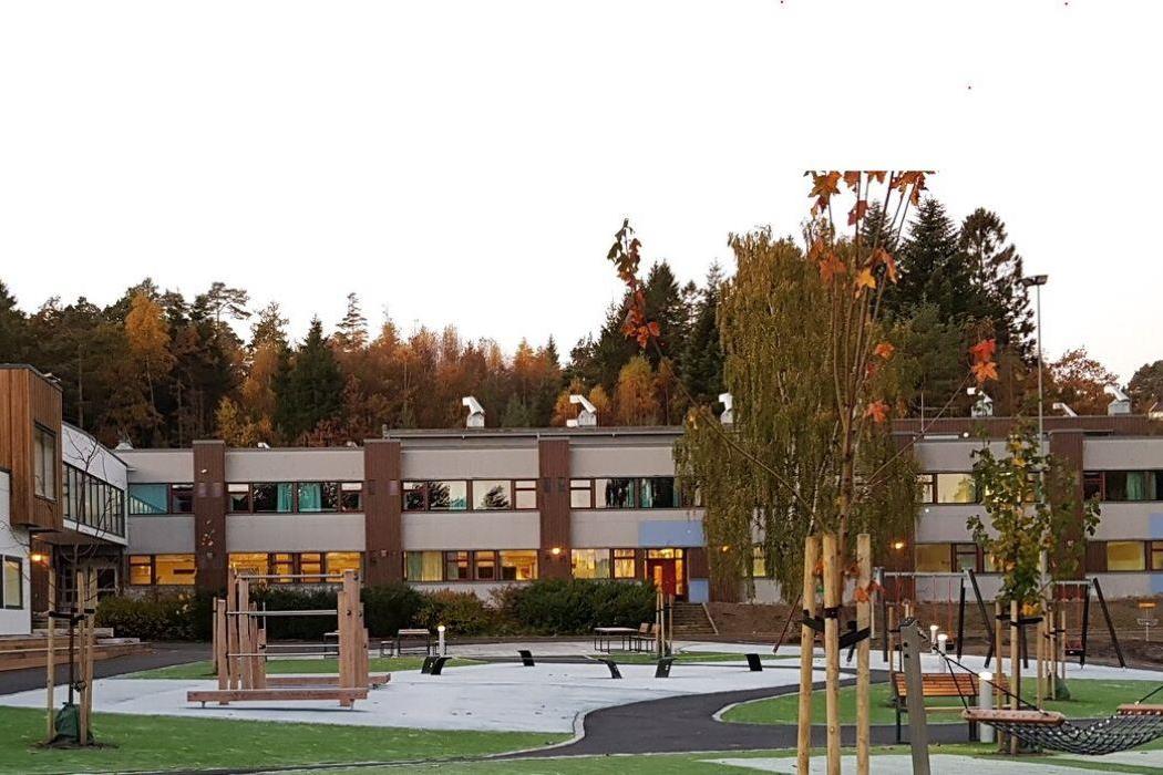 Vassmyra skole
